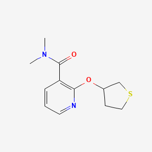 N,N-dimethyl-2-((tetrahydrothiophen-3-yl)oxy)nicotinamide