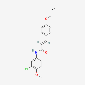 molecular formula C19H20ClNO3 B2976836 (E)-N-(3-chloro-4-methoxyphenyl)-3-(4-propoxyphenyl)acrylamide CAS No. 433962-46-0
