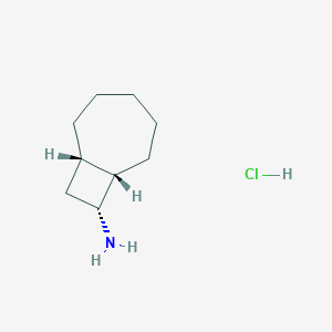 molecular formula C9H18ClN B2976844 (1S,7S,8R)-双环[5.2.0]壬-8-胺；盐酸盐 CAS No. 2305202-80-4