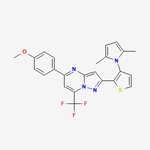 molecular formula C24H19F3N4OS B2978187 2-[3-(2,5-二甲基-1H-吡咯-1-基)-2-噻吩基]-5-(4-甲氧基苯基)-7-(三氟甲基)吡唑并[1,5-a]嘧啶 CAS No. 861209-61-2