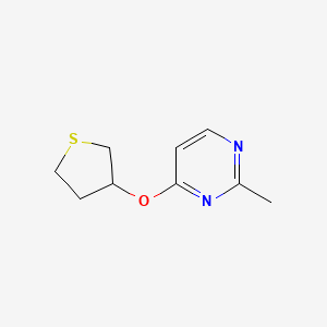 molecular formula C9H12N2OS B2978425 2-Methyl-4-(thiolan-3-yloxy)pyrimidine CAS No. 2176126-08-0