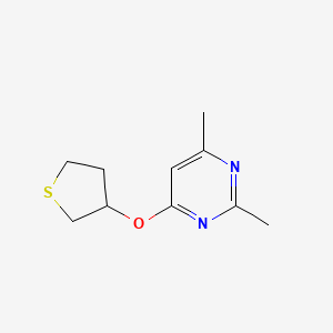 molecular formula C10H14N2OS B2978754 2,4-Dimethyl-6-(thiolan-3-yloxy)pyrimidine CAS No. 2195879-79-7