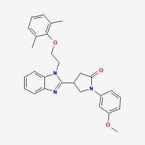 4-{1-[2-(2,6-dimethylphenoxy)ethyl]-1H-benzimidazol-2-yl}-1-(3-methoxyphenyl)pyrrolidin-2-one