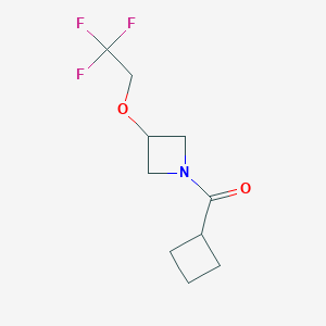 molecular formula C10H14F3NO2 B2979992 Cyclobutyl(3-(2,2,2-trifluoroethoxy)azetidin-1-yl)methanone CAS No. 2034542-23-7