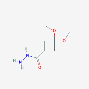 molecular formula C7H14N2O3 B2980141 3,3-Dimethoxycyclobutane-1-carbohydrazide CAS No. 1080636-63-0