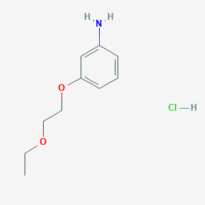 molecular formula C10H16ClNO2 B2980418 3-(2-Ethoxyethoxy)aniline hydrochloride CAS No. 1049787-84-9; 116998-62-0
