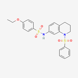 molecular formula C23H24N2O5S2 B2980979 4-乙氧基-N-(1-(苯磺酰基)-1,2,3,4-四氢喹啉-7-基)苯磺酰胺 CAS No. 951519-43-0