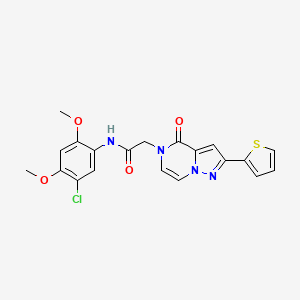 N-(5-chloro-2,4-dimethoxyphenyl)-2-(4-oxo-2-(thiophen-2-yl)pyrazolo[1,5-a]pyrazin-5(4H)-yl)acetamide