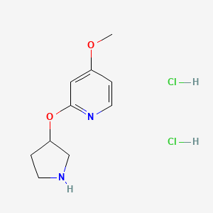 molecular formula C10H16Cl2N2O2 B2981944 4-甲氧基-2-(吡咯烷-3-氧基)吡啶二盐酸盐 CAS No. 1779132-94-3
