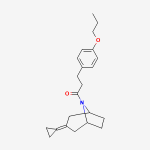 molecular formula C22H29NO2 B2982470 1-{3-环丙亚甲基-8-氮杂双环[3.2.1]辛-8-基}-3-(4-丙氧基苯基)丙-1-酮 CAS No. 2210054-41-2