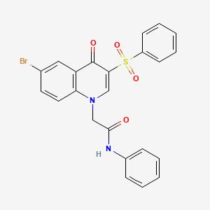 2-(6-bromo-4-oxo-3-(phenylsulfonyl)quinolin-1(4H)-yl)-N-phenylacetamide