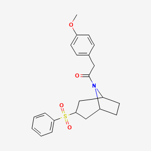 molecular formula C22H25NO4S B2983981 2-(4-methoxyphenyl)-1-((1R,5S)-3-(phenylsulfonyl)-8-azabicyclo[3.2.1]octan-8-yl)ethanone CAS No. 1448057-08-6