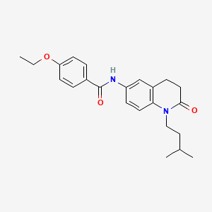 molecular formula C23H28N2O3 B2983996 4-ethoxy-N-(1-isopentyl-2-oxo-1,2,3,4-tetrahydroquinolin-6-yl)benzamide CAS No. 941911-55-3