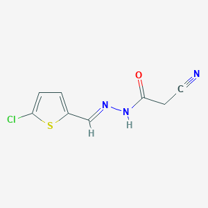 molecular formula C8H6ClN3OS B298479 N'-[(E)-(5-chlorothiophen-2-yl)methylidene]-2-cyanoacetohydrazide 