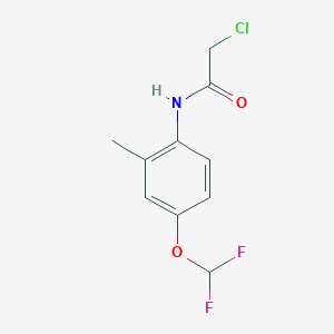 2-chloro-N-[4-(difluoromethoxy)-2-methylphenyl]acetamide