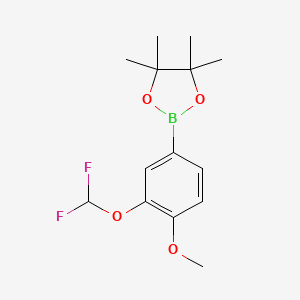molecular formula C14H19BF2O4 B2985677 Coc1=C(OC(F)F)C=C(C=C1)B1OC(C)(C)C(C)(C)O1 CAS No. 2092444-39-6