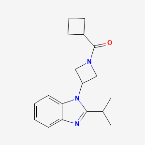 molecular formula C18H23N3O B2986839 Cyclobutyl-[3-(2-propan-2-ylbenzimidazol-1-yl)azetidin-1-yl]methanone CAS No. 2415524-57-9