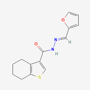 molecular formula C14H14N2O2S B2987071 N-[(E)-furan-2-ylmethylideneamino]-4,5,6,7-tetrahydro-1-benzothiophene-3-carboxamide CAS No. 327061-82-5