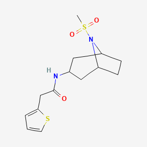 molecular formula C14H20N2O3S2 B2988270 N-(8-(甲磺酰基)-8-氮杂双环[3.2.1]辛烷-3-基)-2-(噻吩-2-基)乙酰胺 CAS No. 2034284-19-8