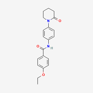 4-ethoxy-N-(4-(2-oxopiperidin-1-yl)phenyl)benzamide