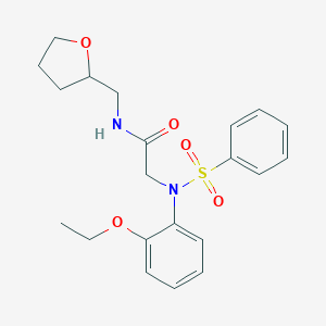 molecular formula C21H26N2O5S B298852 N~2~-(2-ethoxyphenyl)-N~2~-(phenylsulfonyl)-N~1~-(tetrahydrofuran-2-ylmethyl)glycinamide 