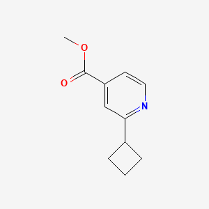 molecular formula C11H13NO2 B2988650 Methyl 2-cyclobutylpyridine-4-carboxylate CAS No. 1893452-32-8