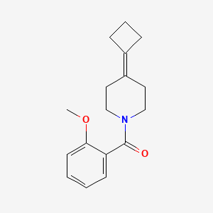 molecular formula C17H21NO2 B2988753 (4-Cyclobutylidenepiperidin-1-yl)-(2-methoxyphenyl)methanone CAS No. 2320212-76-6