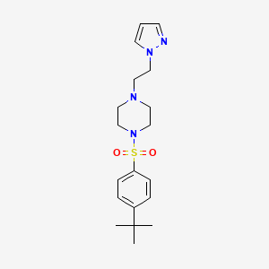 molecular formula C19H28N4O2S B2988769 1-(2-(1H-pyrazol-1-yl)ethyl)-4-((4-(tert-butyl)phenyl)sulfonyl)piperazine CAS No. 1396887-61-8