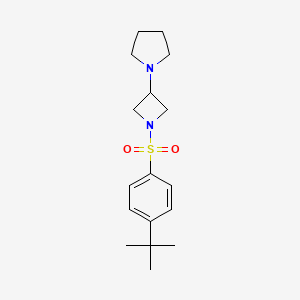 molecular formula C17H26N2O2S B2991404 1-[1-(4-Tert-butylphenyl)sulfonylazetidin-3-yl]pyrrolidine CAS No. 2310140-41-9