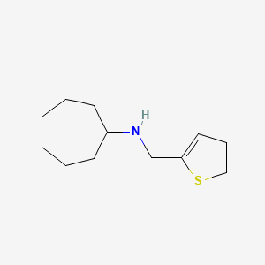 molecular formula C12H19NS B2991644 N-(thiophen-2-ylmethyl)cycloheptanamine CAS No. 892566-23-3