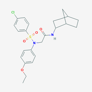 molecular formula C23H27ClN2O4S B299201 N-bicyclo[2.2.1]hept-2-yl-2-{[(4-chlorophenyl)sulfonyl]-4-ethoxyanilino}acetamide 
