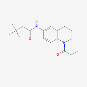 molecular formula C19H28N2O2 B2992018 N-(1-isobutyryl-1,2,3,4-tetrahydroquinolin-6-yl)-3,3-dimethylbutanamide CAS No. 941915-59-9