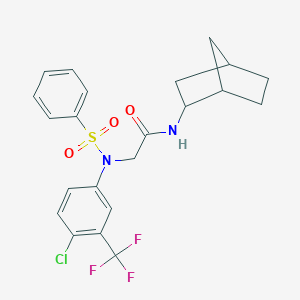 molecular formula C22H22ClF3N2O3S B299230 N-bicyclo[2.2.1]hept-2-yl-2-[4-chloro(phenylsulfonyl)-3-(trifluoromethyl)anilino]acetamide 