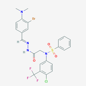 molecular formula C24H21BrClF3N4O3S B299311 N-(2-{2-[3-bromo-4-(dimethylamino)benzylidene]hydrazino}-2-oxoethyl)-N-[4-chloro-3-(trifluoromethyl)phenyl]benzenesulfonamide 