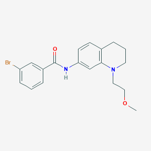 molecular formula C19H21BrN2O2 B2993447 3-溴-N-(1-(2-甲氧基乙基)-1,2,3,4-四氢喹啉-7-基)苯甲酰胺 CAS No. 1171061-26-9