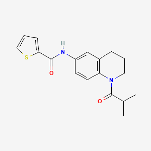 N-(1-isobutyryl-1,2,3,4-tetrahydroquinolin-6-yl)thiophene-2-carboxamide