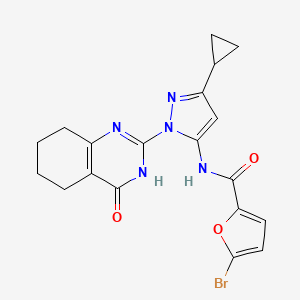 5-bromo-N-(3-cyclopropyl-1-(4-oxo-3,4,5,6,7,8-hexahydroquinazolin-2-yl)-1H-pyrazol-5-yl)furan-2-carboxamide