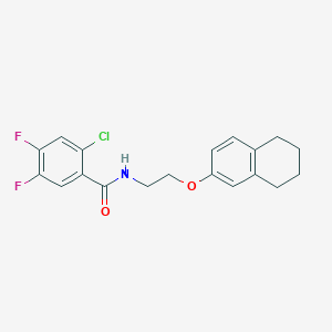 molecular formula C19H18ClF2NO2 B299499 2-chloro-4,5-difluoro-N-[2-(5,6,7,8-tetrahydronaphthalen-2-yloxy)ethyl]benzamide 