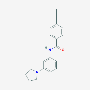 molecular formula C21H26N2O B299546 4-tert-butyl-N-[3-(pyrrolidin-1-yl)phenyl]benzamide 