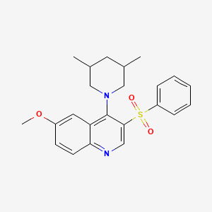 molecular formula C23H26N2O3S B2995689 4-(3,5-二甲基哌啶-1-基)-6-甲氧基-3-(苯磺酰基)喹啉 CAS No. 902944-96-1