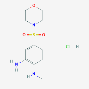 molecular formula C11H18ClN3O3S B2996336 1-N-Methyl-4-morpholin-4-ylsulfonylbenzene-1,2-diamine;hydrochloride CAS No. 2416229-68-8