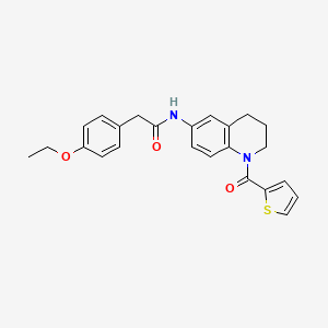 2-(4-ethoxyphenyl)-N-[1-(2-thienylcarbonyl)-1,2,3,4-tetrahydroquinolin-6-yl]acetamide