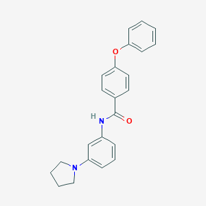 molecular formula C23H22N2O2 B299685 4-phenoxy-N-[3-(1-pyrrolidinyl)phenyl]benzamide 
