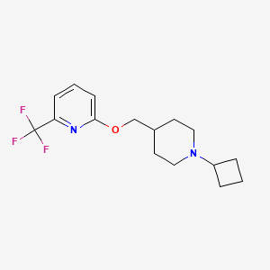 2-[(1-Cyclobutylpiperidin-4-yl)methoxy]-6-(trifluoromethyl)pyridine