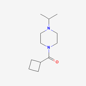 molecular formula C12H22N2O B2998069 1-Cyclobutanecarbonyl-4-(propan-2-yl)piperazine CAS No. 1626533-65-0