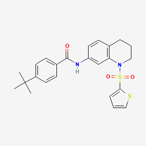 molecular formula C24H26N2O3S2 B2998440 4-(叔丁基)-N-(1-(噻吩-2-磺酰基)-1,2,3,4-四氢喹啉-7-基)苯甲酰胺 CAS No. 898447-97-7