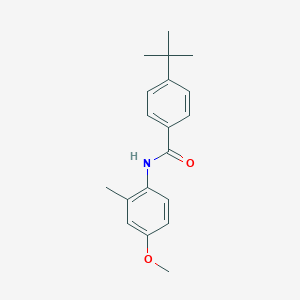 molecular formula C19H23NO2 B300030 4-tert-butyl-N-(4-methoxy-2-methylphenyl)benzamide 