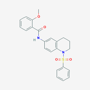 molecular formula C23H22N2O4S B3000577 2-methoxy-N-(1-(phenylsulfonyl)-1,2,3,4-tetrahydroquinolin-6-yl)benzamide CAS No. 942006-30-6