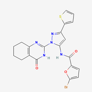 5-bromo-N-(1-(4-oxo-3,4,5,6,7,8-hexahydroquinazolin-2-yl)-3-(thiophen-2-yl)-1H-pyrazol-5-yl)furan-2-carboxamide