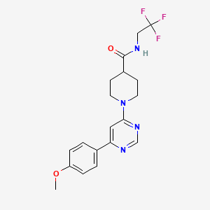 molecular formula C19H21F3N4O2 B3002646 1-(6-(4-methoxyphenyl)pyrimidin-4-yl)-N-(2,2,2-trifluoroethyl)piperidine-4-carboxamide CAS No. 1396805-75-6